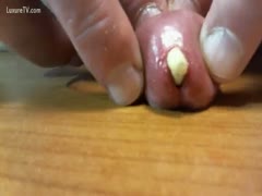 One night, a man is seen in a shocking home video sticking something into the tip of his cock gap.